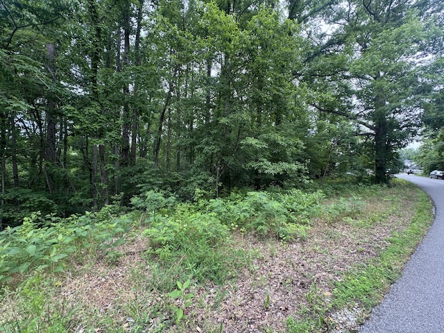 1 Coconut Rdg Rd, Smithville, TN 37166