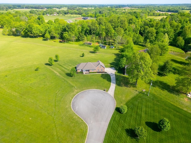 1020 Loganview Way, Springfield, TN 37172 - aerial view