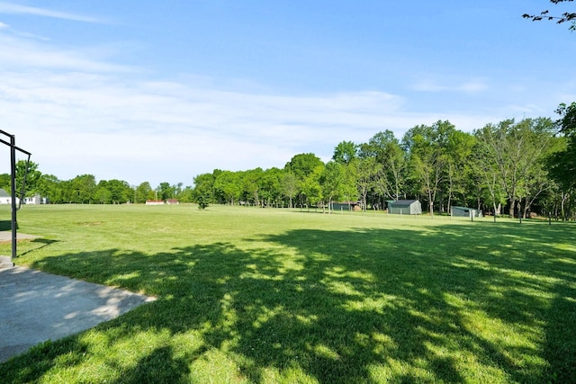 1020 Loganview Way, Springfield, TN 37172 - view of green lawn