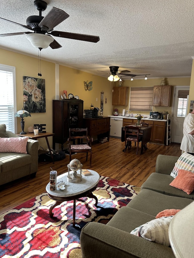 1140 Brittany Park Ln, Antioch, TN 37013 - living area featuring a ceiling fan, dark wood finished floors, and a textured ceiling