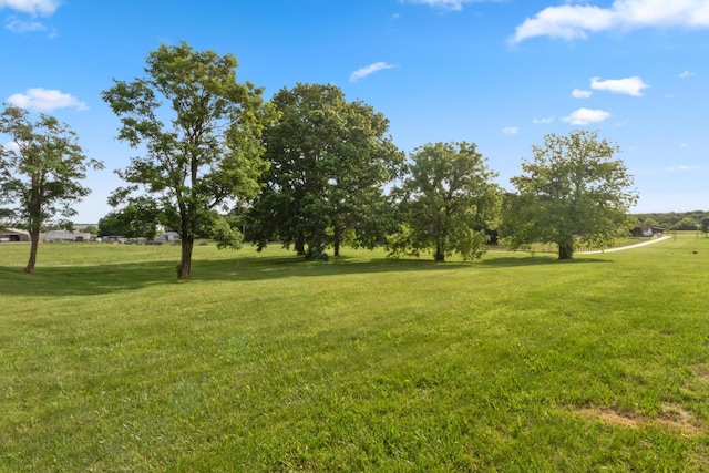 6928 Hoover Mason Ln, Mount Pleasant, TN 38474 - view of green lawn