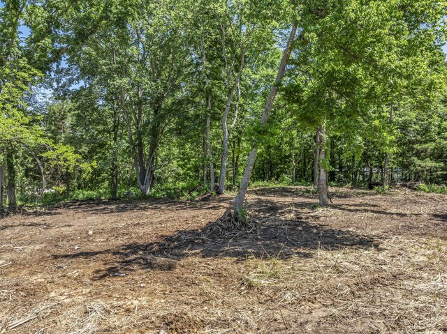 3563 Clay Tomlinson Rd, Erin, TN 37061