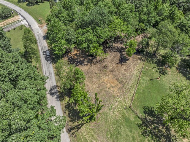 3563 Clay Tomlinson Rd, Erin, TN 37061