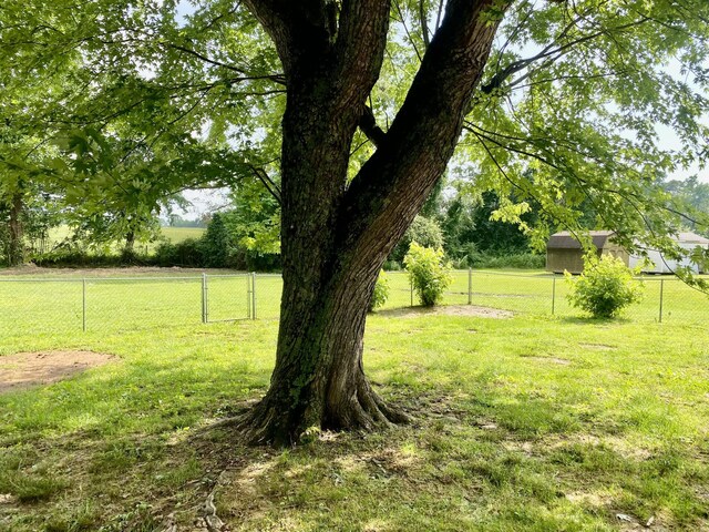 335 Union Hill Rd, Mcminnville, TN 37110 - photo 16