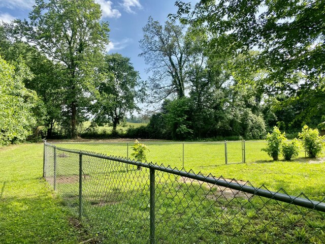 335 Union Hill Rd, Mcminnville, TN 37110 - photo 15