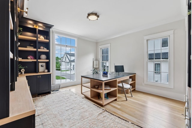 1040B Battery Ln E, Nashville, TN 37220 - office space featuring crown molding and light wood-style floors