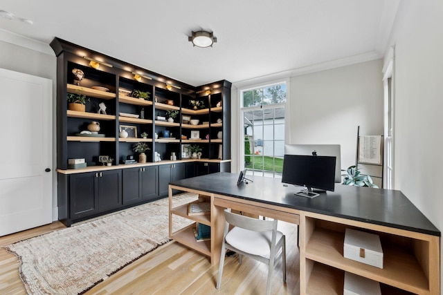 1040B Battery Ln E, Nashville, TN 37220 - office with light wood-type flooring and crown molding