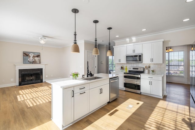 100 Nancy Ct, Hermitage, TN 37076 - kitchen with appliances with stainless steel finishes, a sink, ceiling fan, crown molding, and light countertops