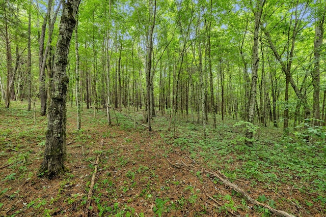 0 Eli Rd, Bon Aqua, TN 37025