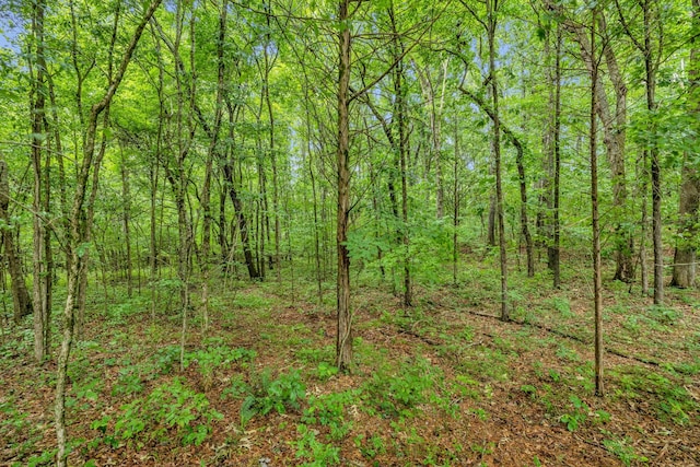 0 Eli Rd, Bon Aqua, TN 37025