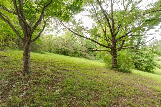 202 George Akins Rd, Westmoreland, TN 37186 - photo 22