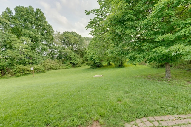 202 George Akins Rd, Westmoreland, TN 37186 - photo 25
