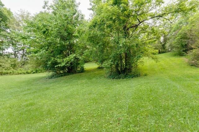 202 George Akins Rd, Westmoreland, TN 37186 - photo 20