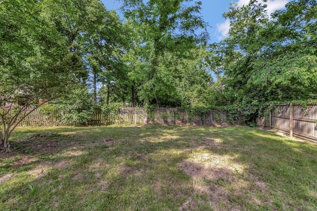 4904 Algonquin Trl, Antioch, TN 37013 - view of yard