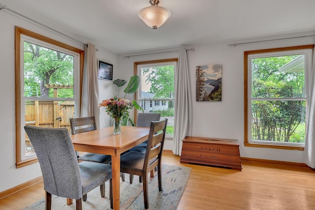 415 Isaac Dr, Goodlettsville, TN 37072 - dining space featuring baseboards, plenty of natural light, and light wood-style flooring