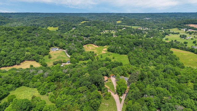 415 Isaac Dr, Goodlettsville, TN 37072 - bird's eye view of a forest