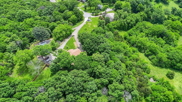 415 Isaac Dr, Goodlettsville, TN 37072 - bird's eye view