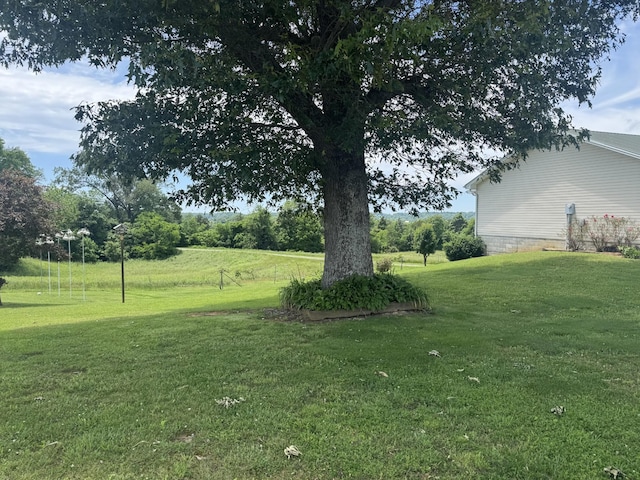 325 Lafayette Ct, Moss, TN 38575 - view of green lawn