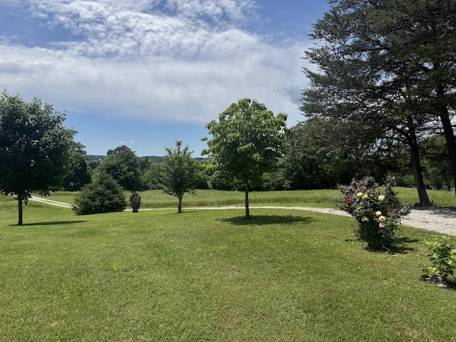 325 Lafayette Ct, Moss, TN 38575 - view of grassy yard