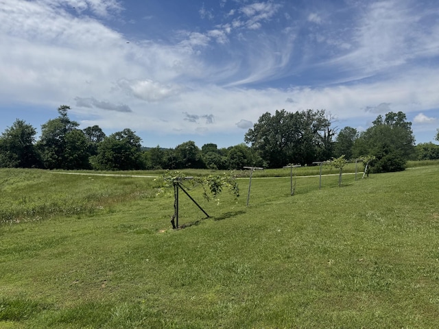 325 Lafayette Ct, Moss, TN 38575 - view of green lawn with a view of rural / pastoral area