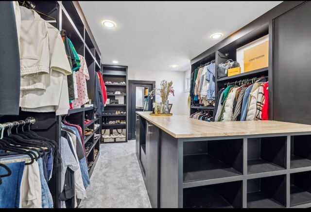 117 Park Cir, Columbia, TN 38401 - walk in closet with carpet flooring