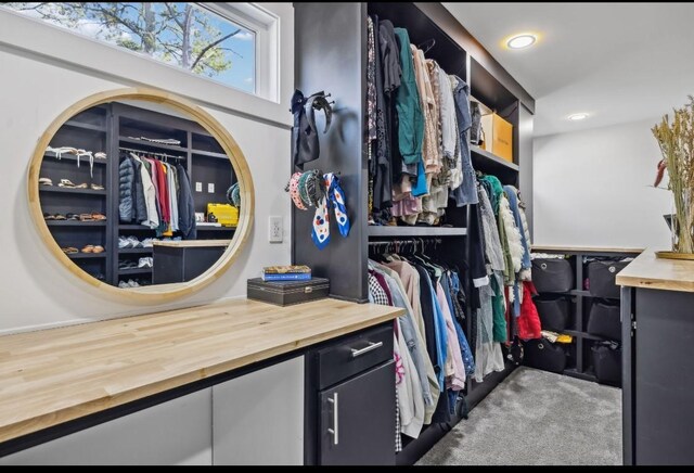 117 Park Cir, Columbia, TN 38401 - view of walk in closet