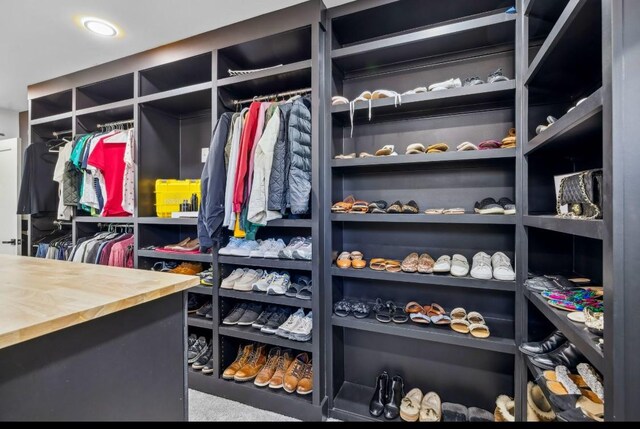 117 Park Cir, Columbia, TN 38401 - view of spacious closet