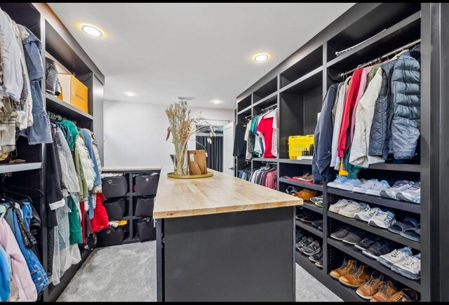 117 Park Cir, Columbia, TN 38401 - view of walk in closet