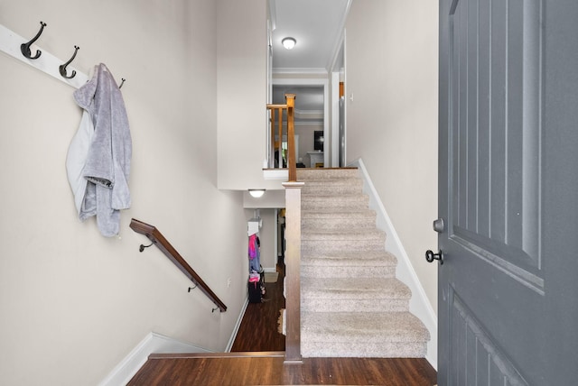 258 Bellshire Dr, Clarksville, TN 37043 - stairs with wood finished floors and baseboards