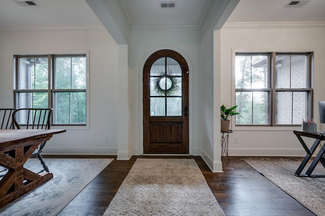 1092 Meeks Cemetery Rd, Burns, TN 37029 - foyer entrance featuring plenty of natural light, dark wood-style flooring, and ornamental molding
