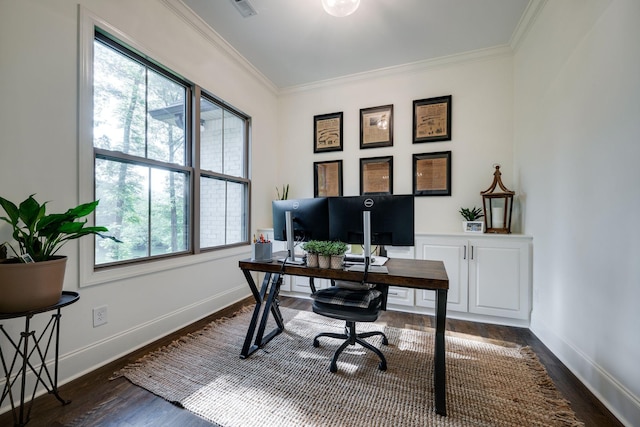 1092 Meeks Cemetery Rd, Burns, TN 37029 - office space featuring ornamental molding, dark wood-style flooring, and baseboards