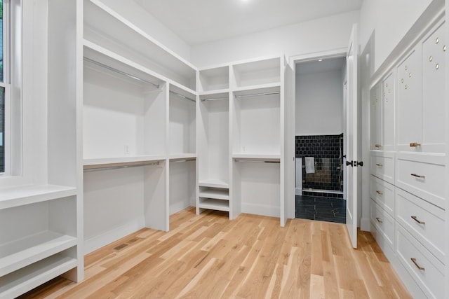 1438 Janie Ave, Nashville, TN 37216 - spacious closet with light wood-type flooring