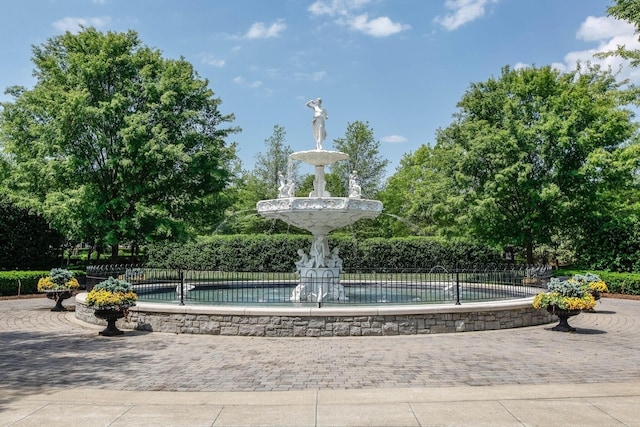 118 Jasper Ave, Franklin, TN 37064 - view of property's community