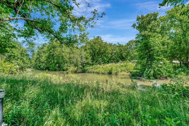 33 Edgewood Rd, Alexandria, TN 37012 - view of tree filled area featuring a water view