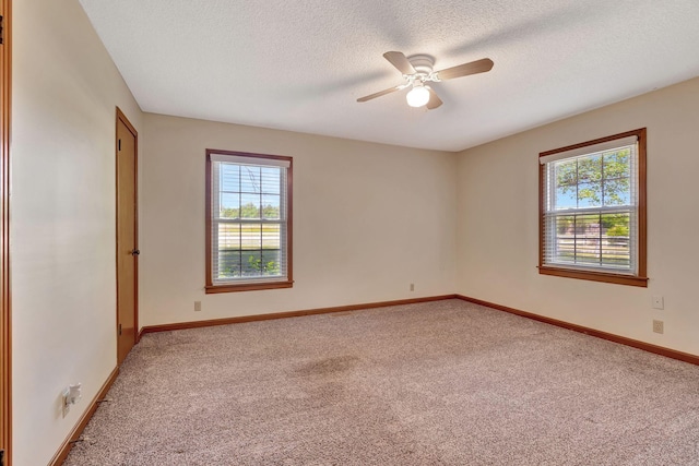 33 Edgewood Rd, Alexandria, TN 37012 - carpeted spare room featuring plenty of natural light, baseboards, a ceiling fan, and a textured ceiling