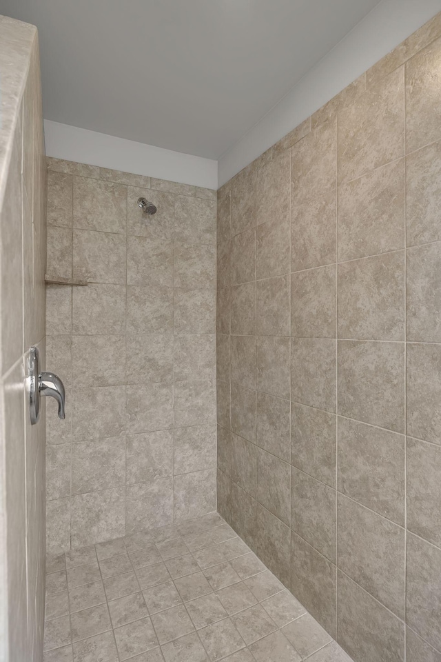 1010 Keeneland Dr, Spring Hill, TN 37174 - bathroom featuring a tile shower