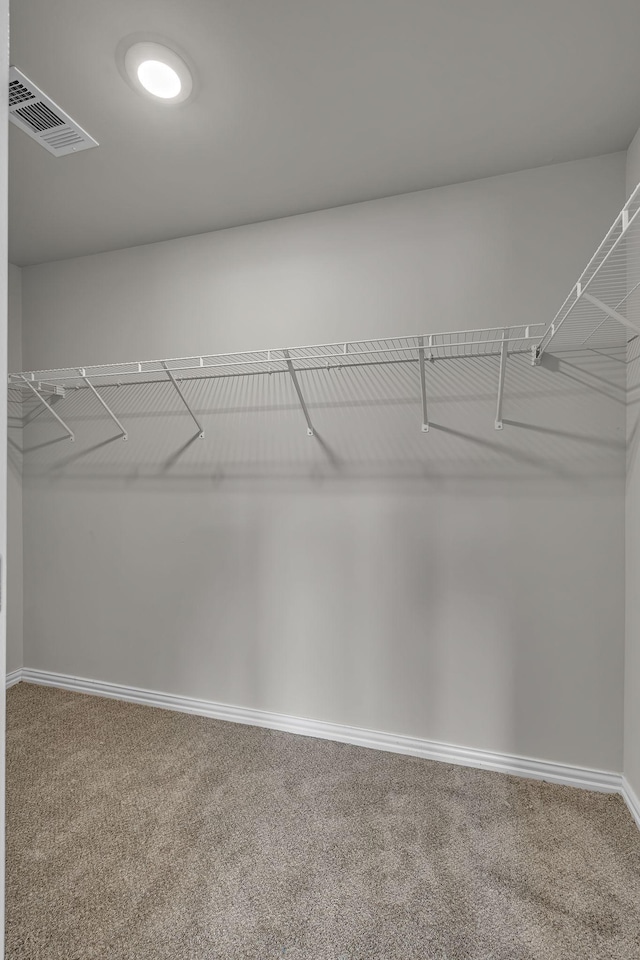 1010 Keeneland Dr, Spring Hill, TN 37174 - spacious closet with carpet floors