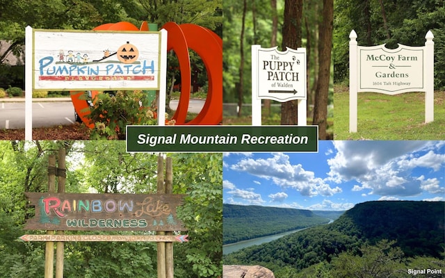 173 Swanger Rd, Signal Mountain, TN 37377