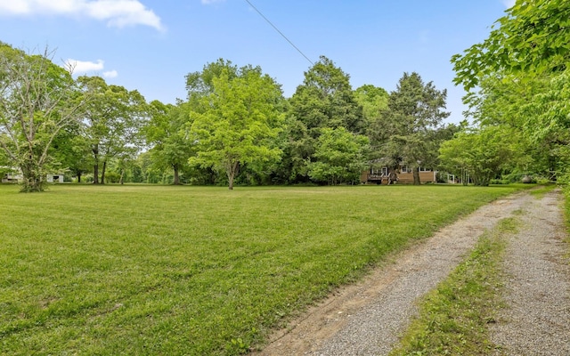 173 Swanger Rd, Signal Mountain, TN 37377