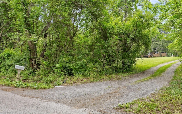 173 Swanger Rd, Signal Mountain, TN 37377
