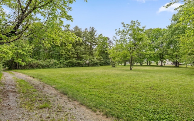 173 Swanger Rd, Signal Mountain, TN 37377