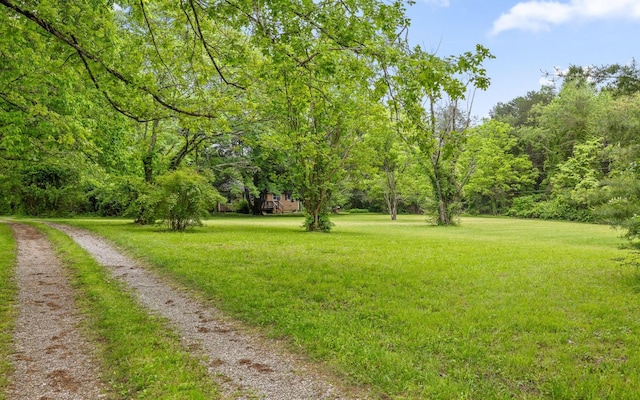 173 Swanger Rd, Signal Mountain, TN 37377