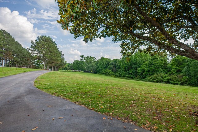 196 Ridgeview Dr, Pulaski, TN 38478 - photo 42