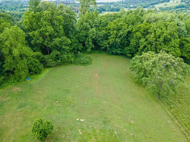 196 Ridgeview Dr, Pulaski, TN 38478 - photo 9