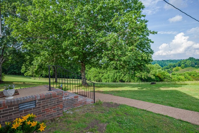 196 Ridgeview Dr, Pulaski, TN 38478 - photo 46