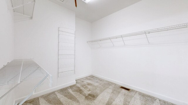 716 Cowan Dr, Nolensville, TN 37135 - photo 21