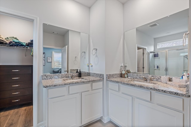 2405 Quinn Dr, White House, TN 37188 - bathroom with a shower stall, vanity, plenty of natural light, and wood finished floors