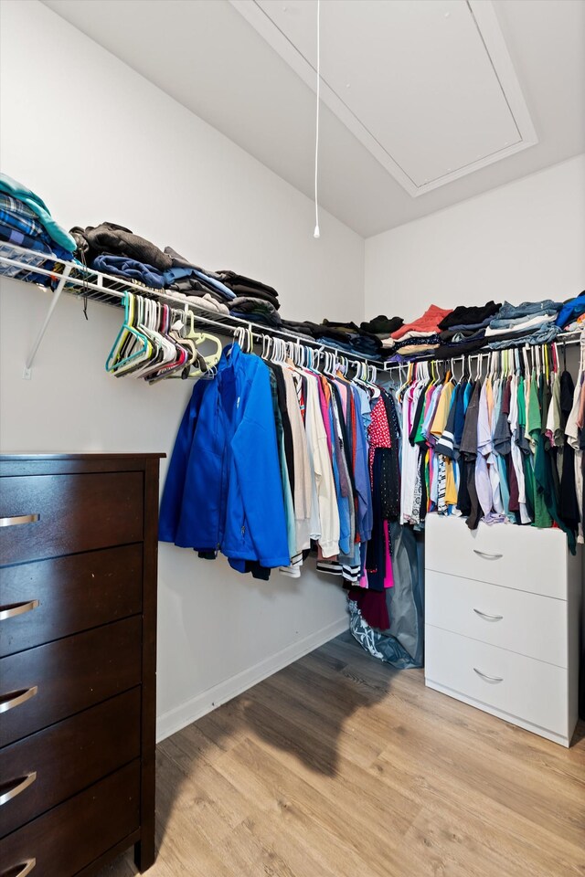 2405 Quinn Dr, White House, TN 37188 - spacious closet featuring wood finished floors and attic access
