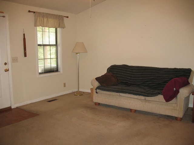 6225 Mount View Rd, Antioch, TN 37013 - living area featuring carpet flooring, baseboards, and lofted ceiling