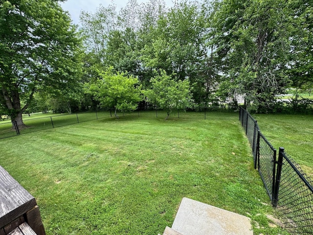 410 Sunset Ln, Monterey, TN 38574 - view of yard